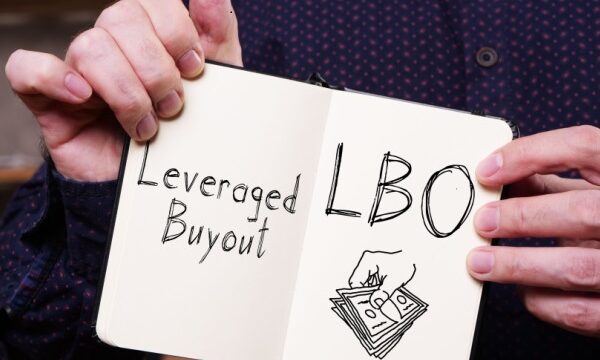 The dynamics of Leveraged Buyouts