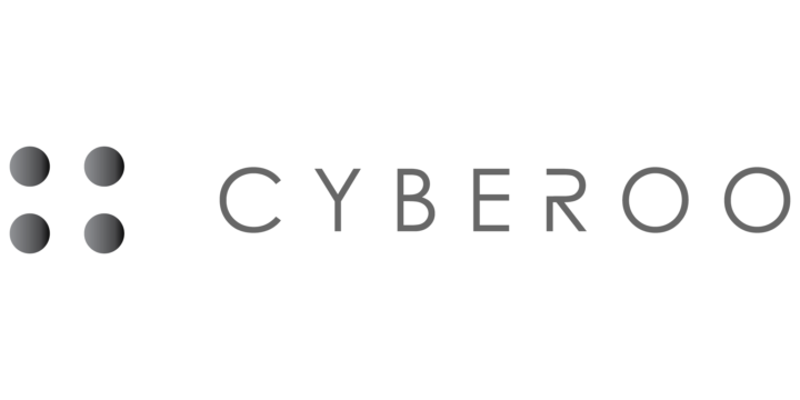 Cyberoo Company Report